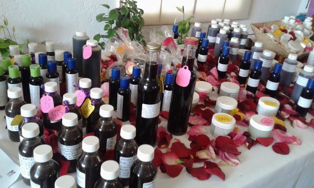 Presentación de todos los productos elaborados